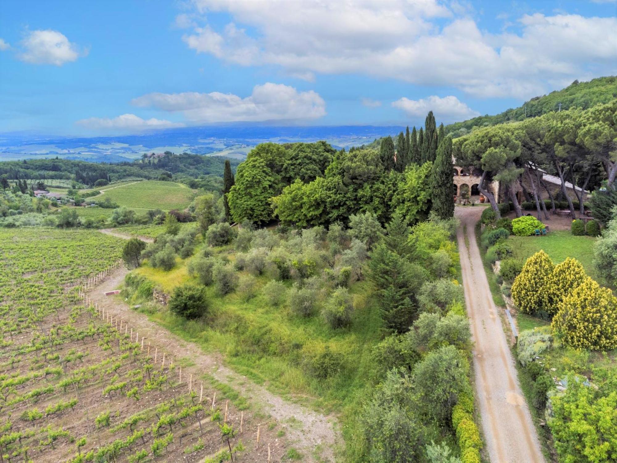 Apartment Cellole - Torretta - Ctc153 By Interhome Castellina in Chianti Kültér fotó